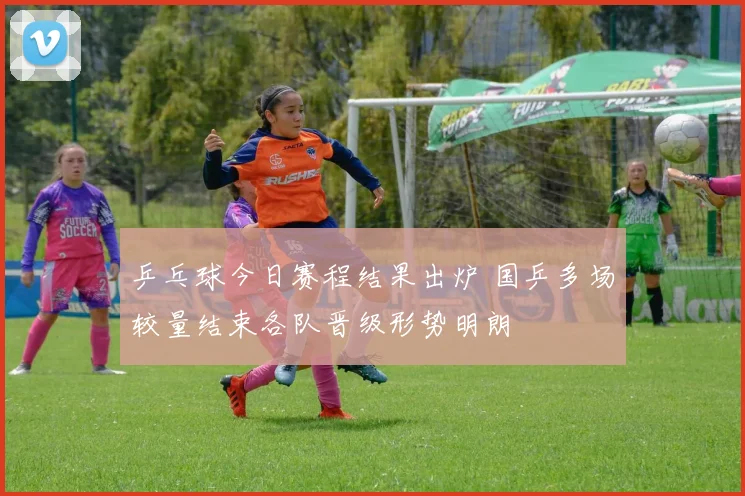 乒乓球今日赛程结果出炉 国乒多场较量结束各队晋级形势明朗